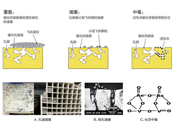 67e2716a0e295.jpg 催化劑說(shuō)明.jpg
